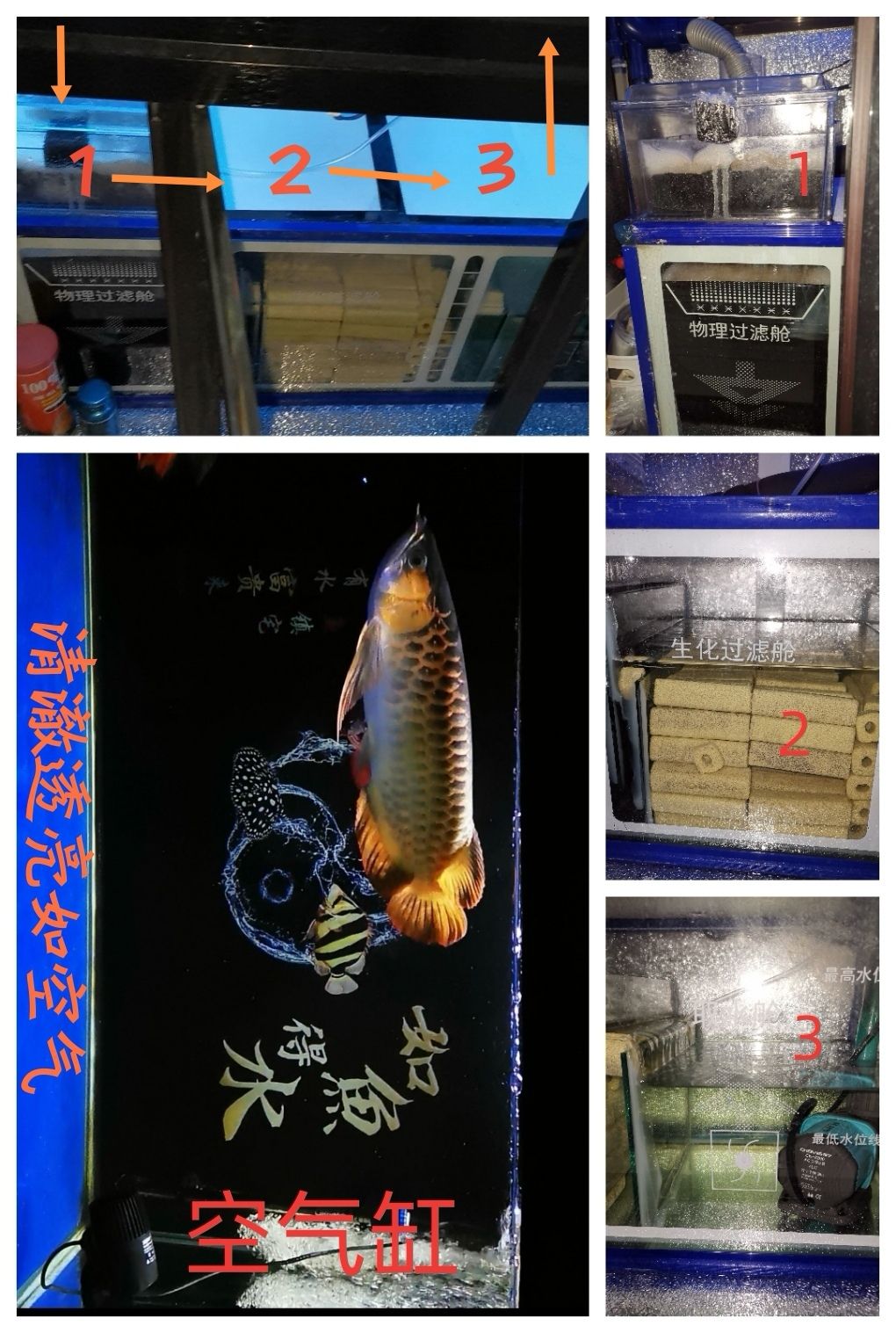 有人問我怎么做到空氣缸？良好的過濾即可 觀賞魚論壇 第1張