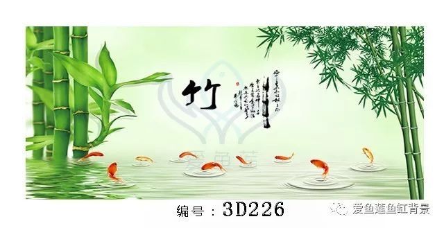 炎熱夏天，背景怎能少得了一抹清涼 觀賞魚論壇