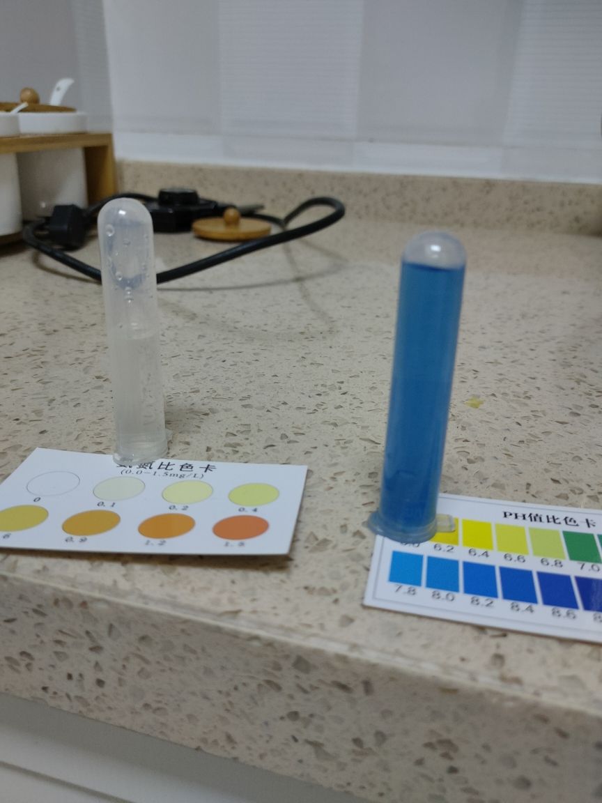 令魚友聞風喪膽的腸炎 觀賞魚論壇 第4張