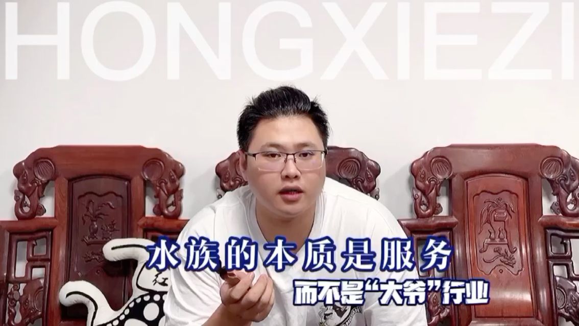 不要被片刻的順利沖昏了頭腦膨脹了自己，因為水族的本質就是服務#紅蝎子純血皇冠魟魚#魟魚#水族#觀賞魚