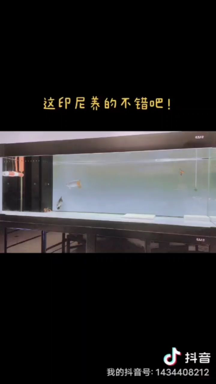 養(yǎng)魚人的愜意 觀賞魚論壇