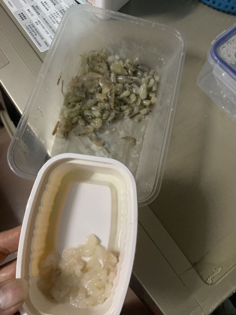 喂魚了喂 觀賞魚論壇 第2張