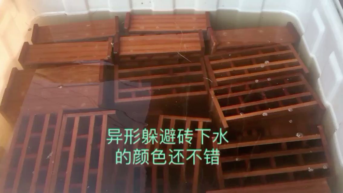 異形躲避磚 觀賞魚論壇 第1張