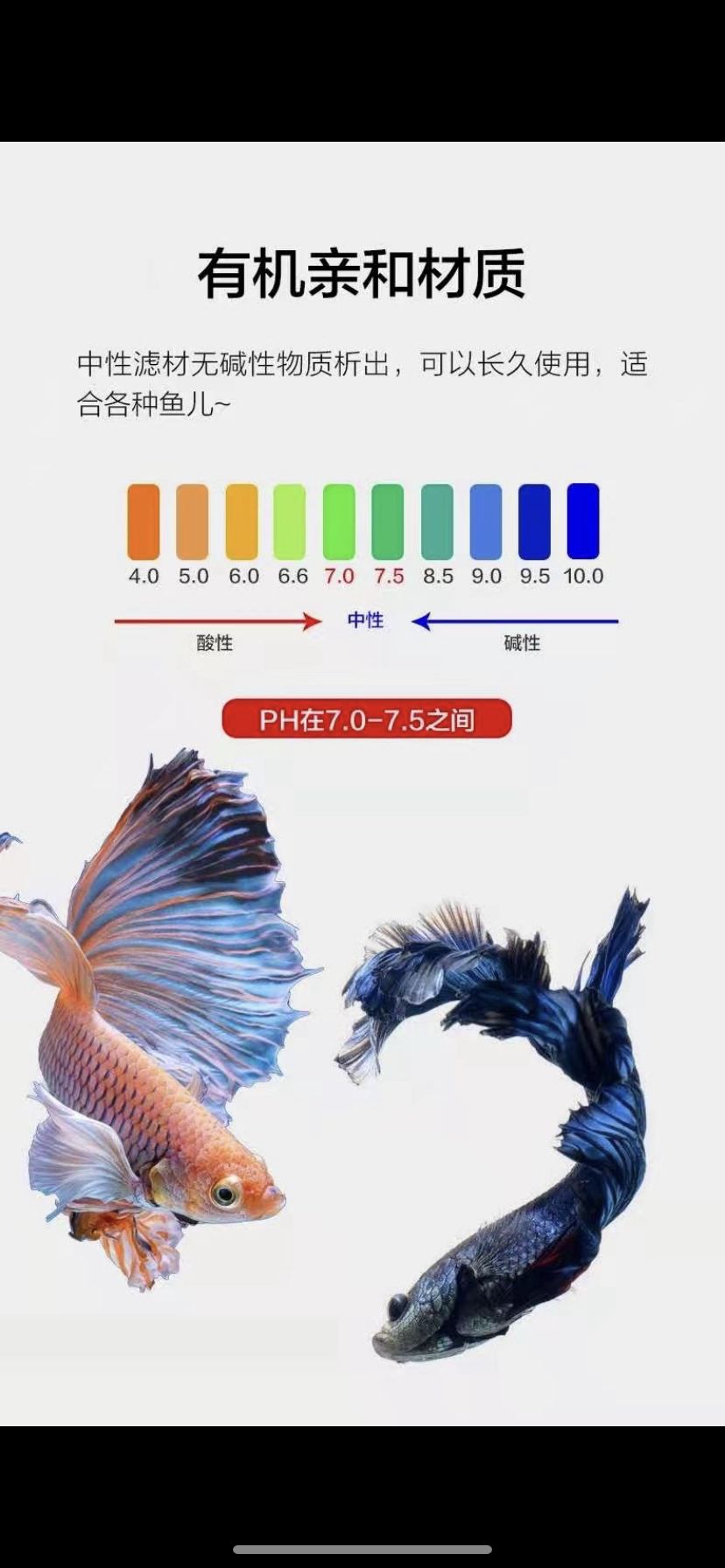 家庭魚缸魚柜圖片 水族問答 第8張