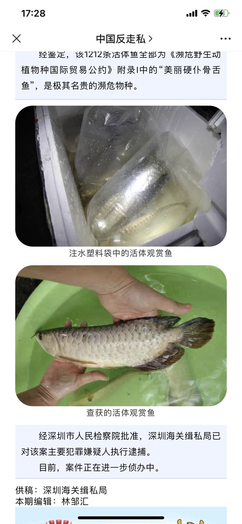 走私案 觀賞魚論壇 第1張