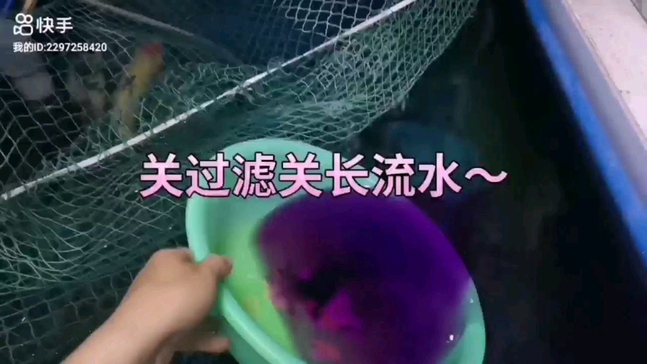 哪里可以買到二手魚(yú)缸 水族問(wèn)答