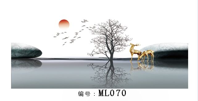 不一樣的背景，不一樣的感受 觀賞魚論壇 第9張