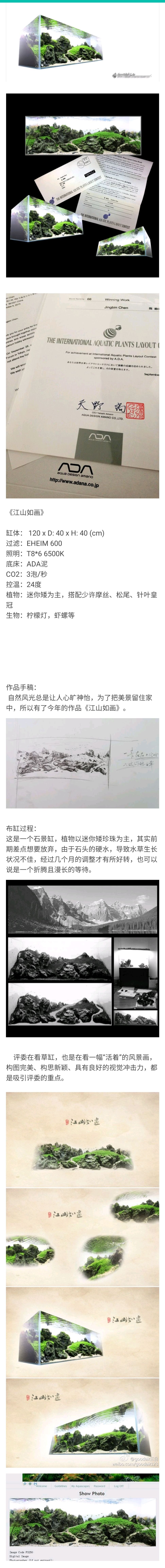 江山如畫 觀賞魚論壇