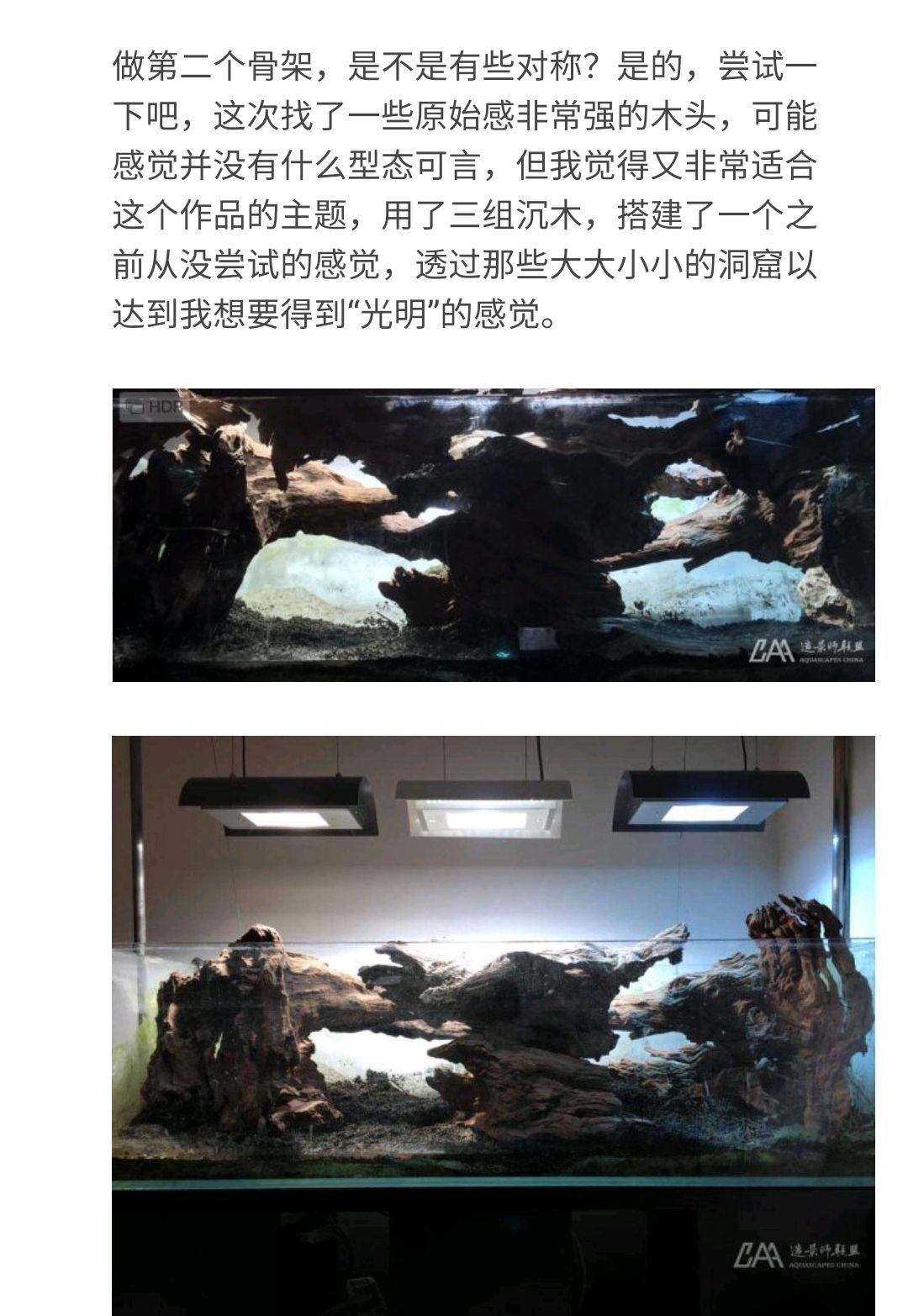 黑暗與光明 觀賞魚論壇 第3張