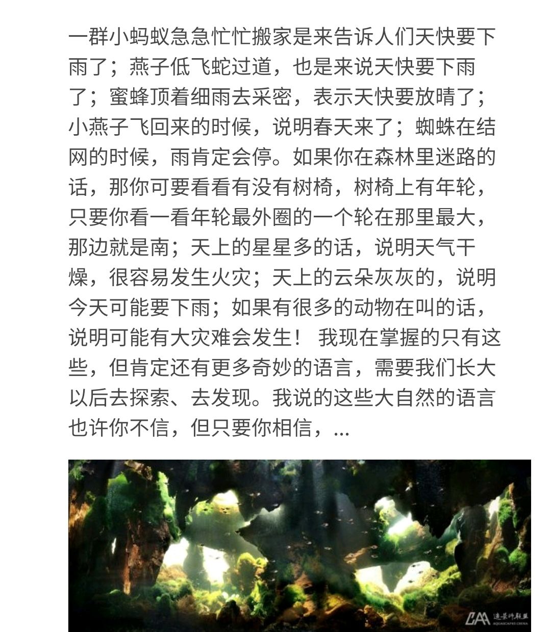 黑暗與光明 觀賞魚論壇 第5張