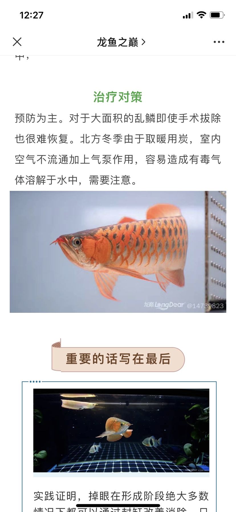 我的魚上公眾號啦 觀賞魚論壇 第2張