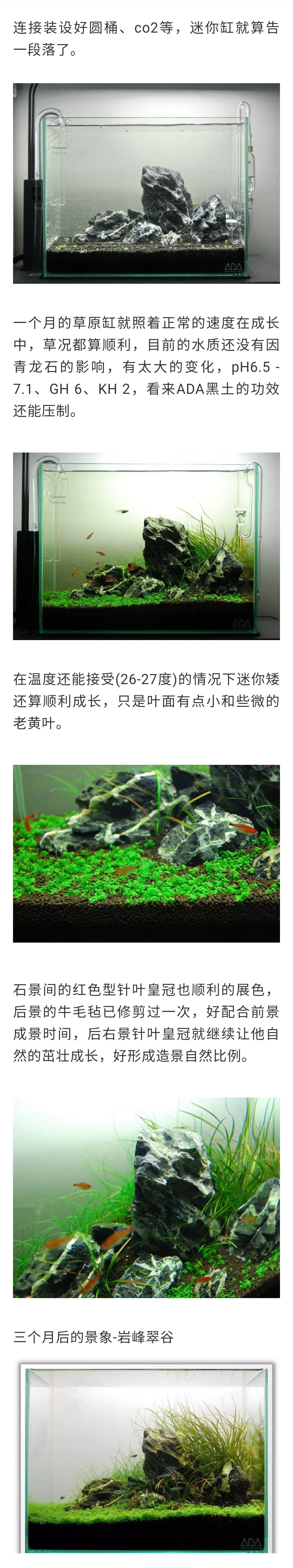 三角形草原風(fēng)格水草造景全過(guò)程詳解 觀賞魚論壇 第2張