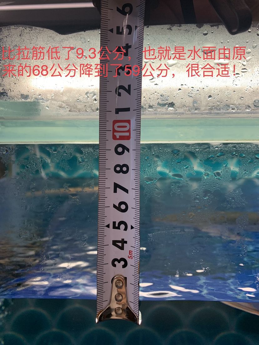 自己動手改非專業(yè)龍缸之六中篇：降水位 觀賞魚論壇 第6張