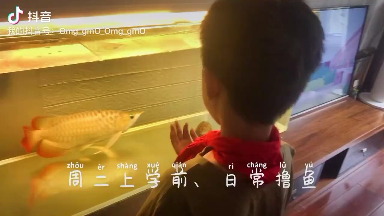 日常擼魚 觀賞魚論壇