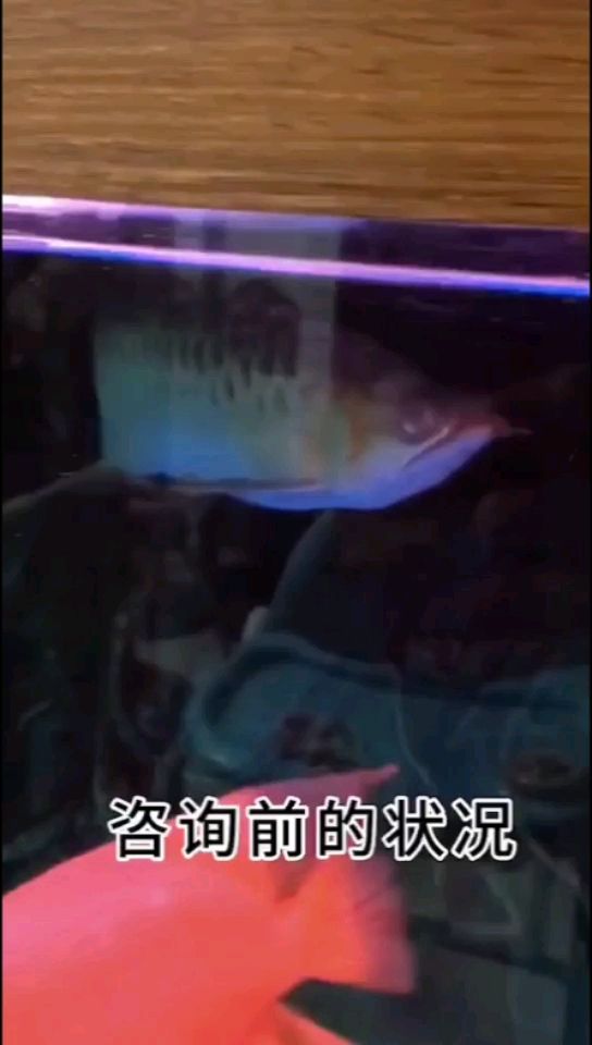 魚病怎么辦？