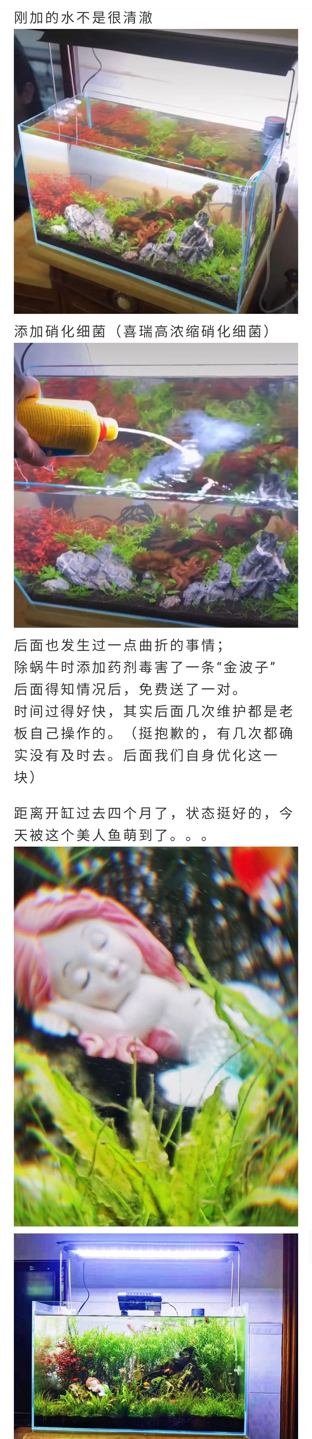 羅漢魚如何在魚缸里面繁殖小魚呢(羅漢魚如何在魚缸里面繁殖小魚呢視頻) 廣州觀賞魚批發(fā)市場