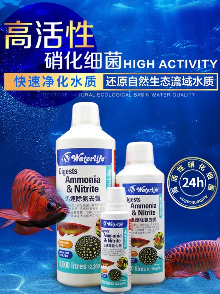 魚缸水體發(fā)黑（魚缸的水變黑怎么辦）