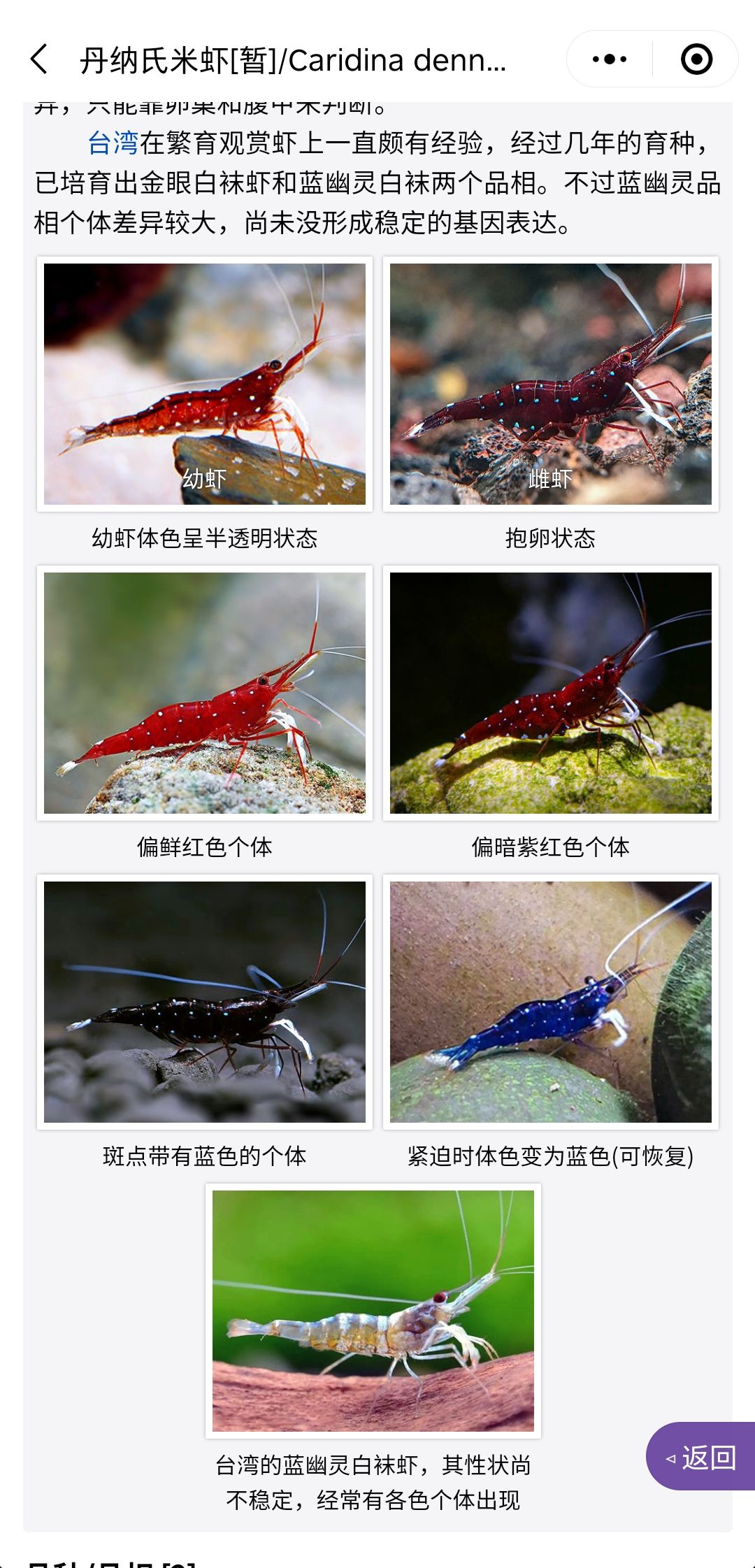 《水族名錄》內(nèi)已添加常見蘇蝦分類生境資料 觀賞魚論壇 第5張