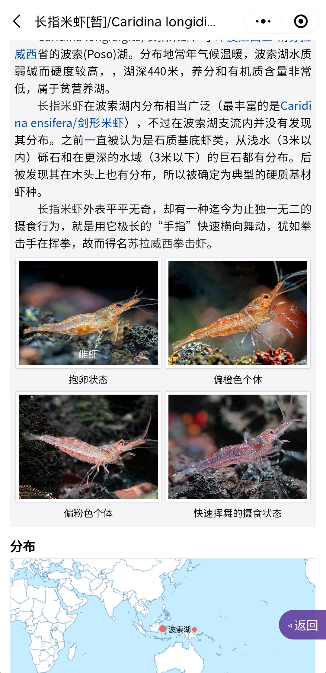 《水族名錄》內(nèi)已添加常見蘇蝦分類生境資料 觀賞魚論壇 第8張