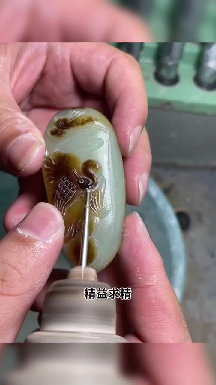 仙鶴 觀賞魚論壇