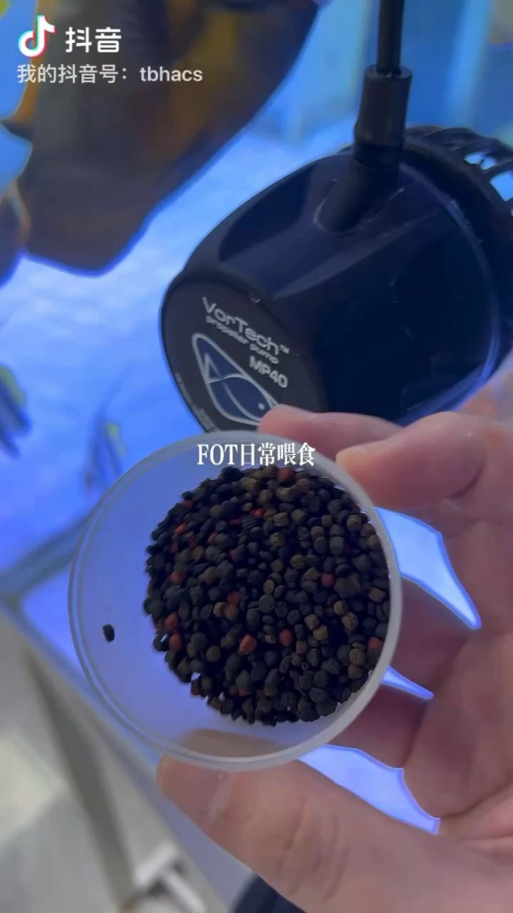 大FOT缸的喂食快感 觀賞魚論壇