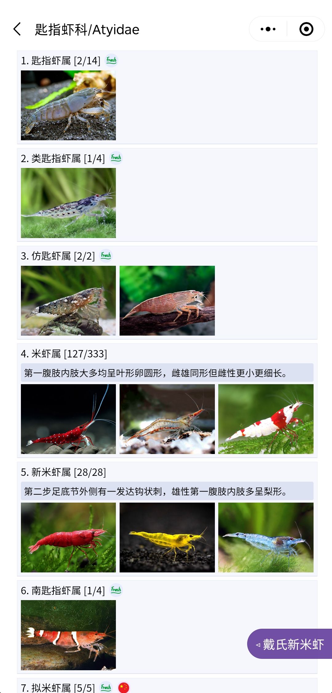 鞍山觀賞魚市場(chǎng)什么時(shí)間開放的啊（鞍山魚市觀賞魚2021） 紅龍福龍魚