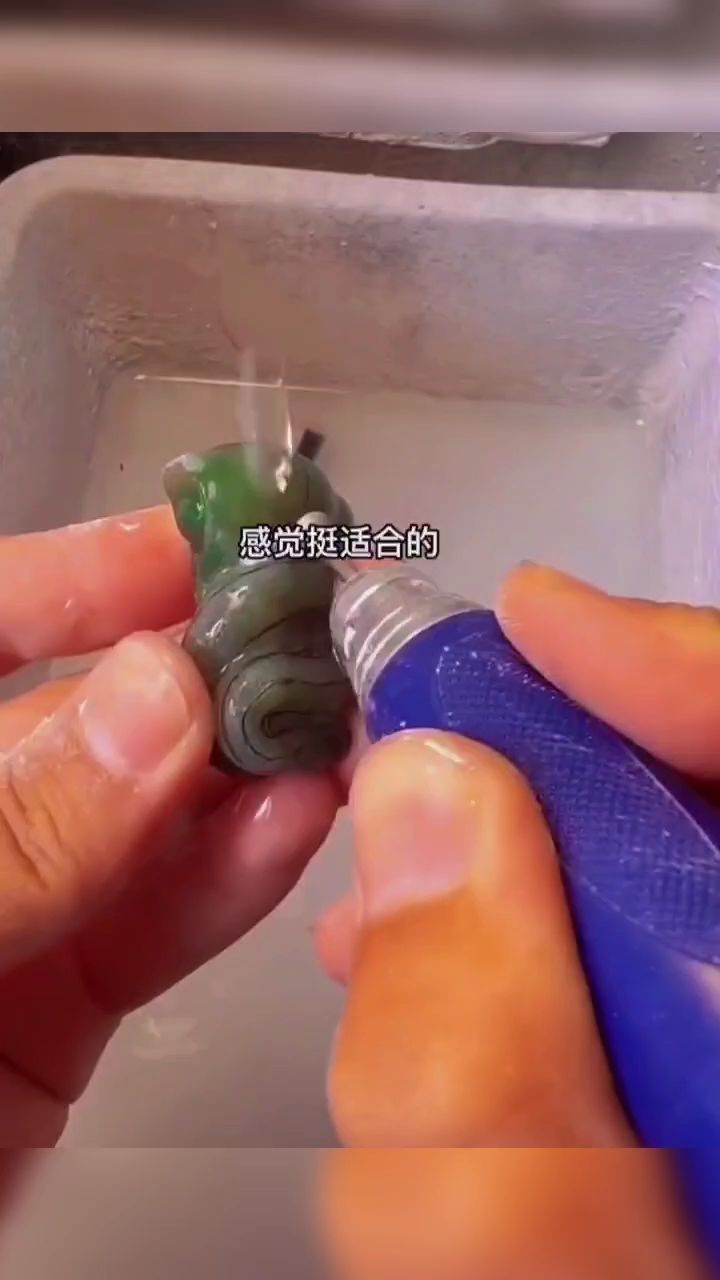 小青 觀賞魚論壇