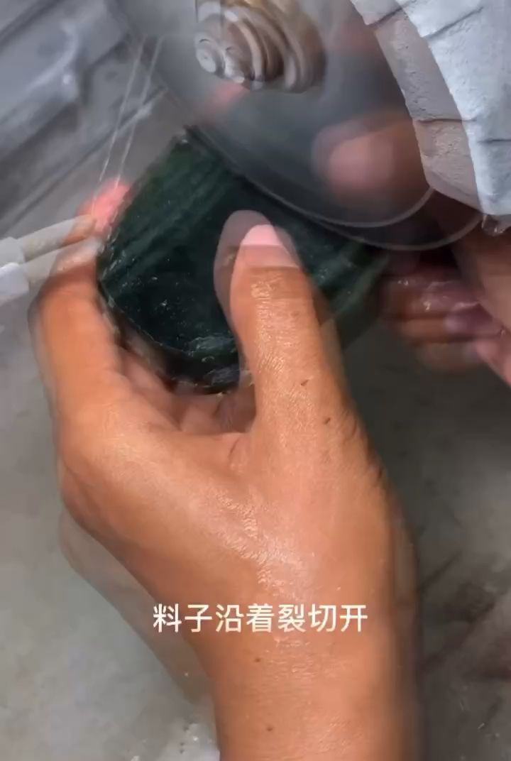 貓眼珠子 觀賞魚論壇