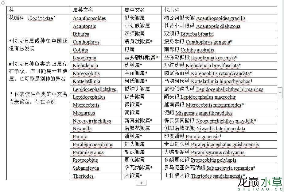 花鰍科原花鰍屬魚類匯總 觀賞魚論壇