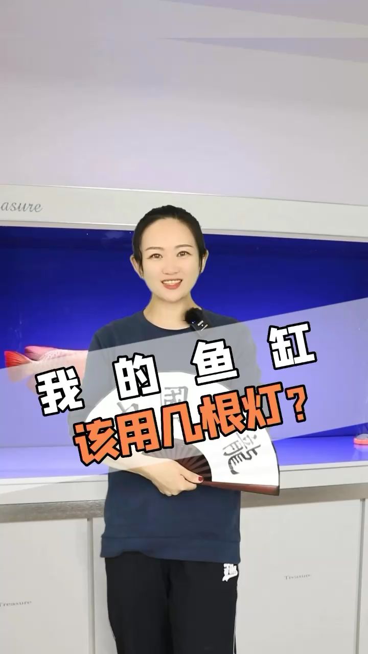 你的魚缸有幾根燈？ 觀賞魚論壇