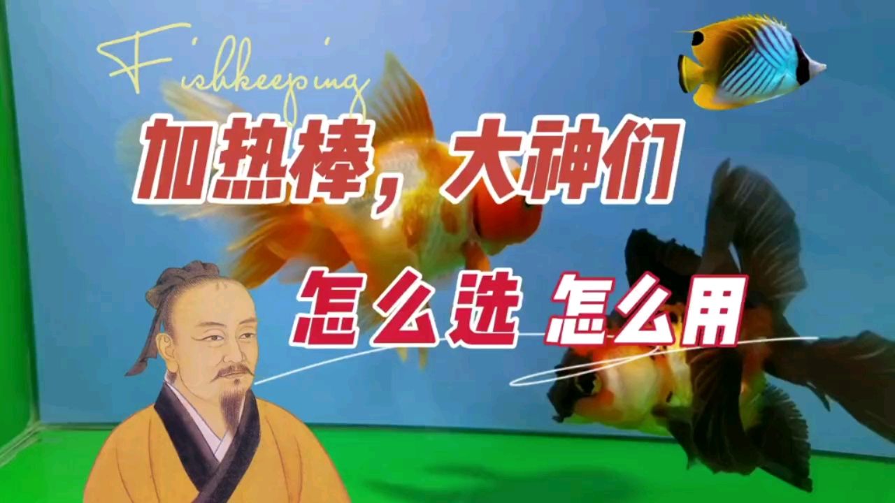 加熱棒，養(yǎng)魚大神都是怎么選購 觀賞魚論壇