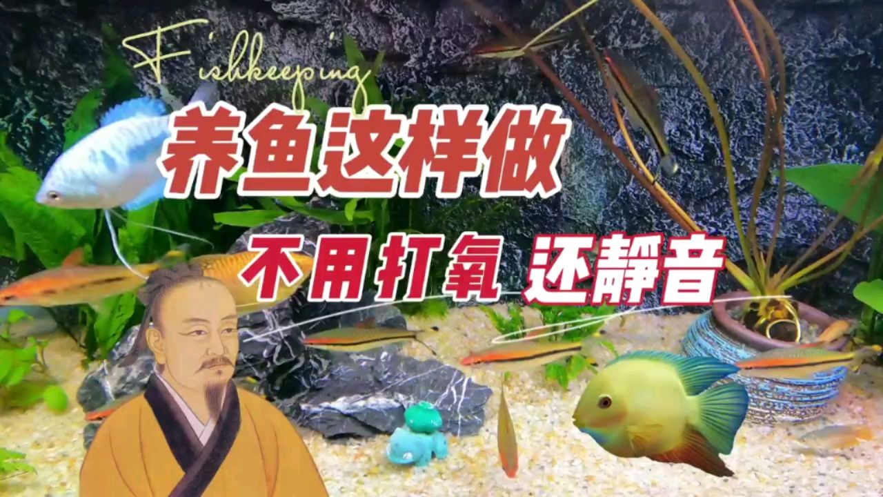 這樣做，魚缸就不需要打氧，還能做到靜 觀賞魚論壇