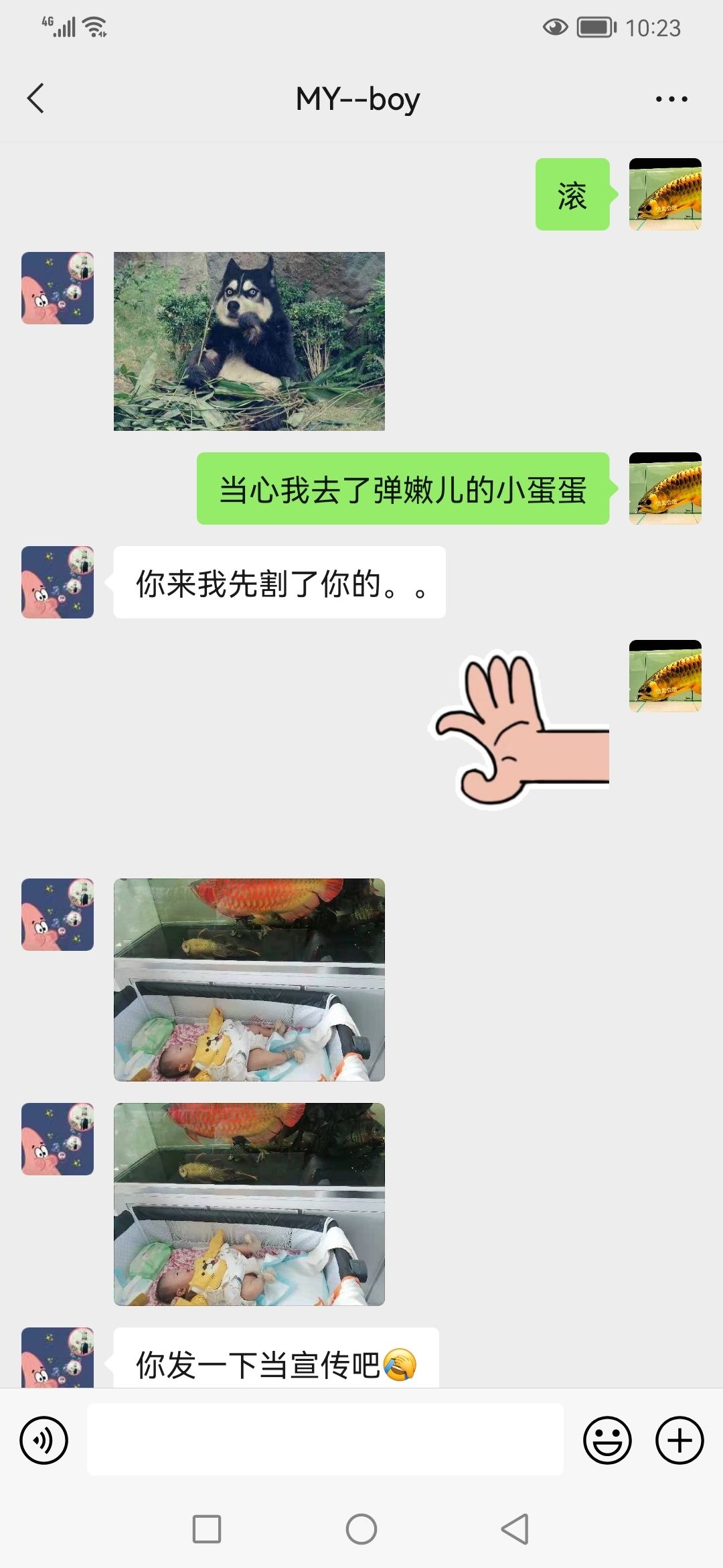 哥哥在水里游 觀賞魚論壇 第2張