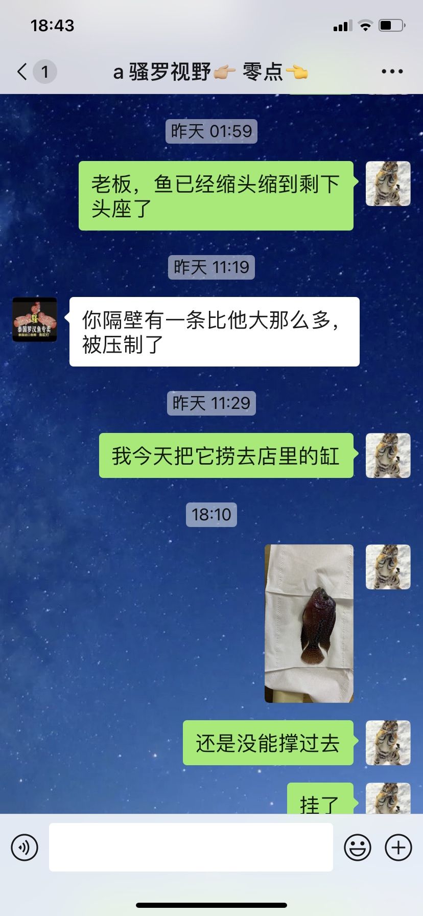 魚缸是立體圖形嗎 水族問答 第7張