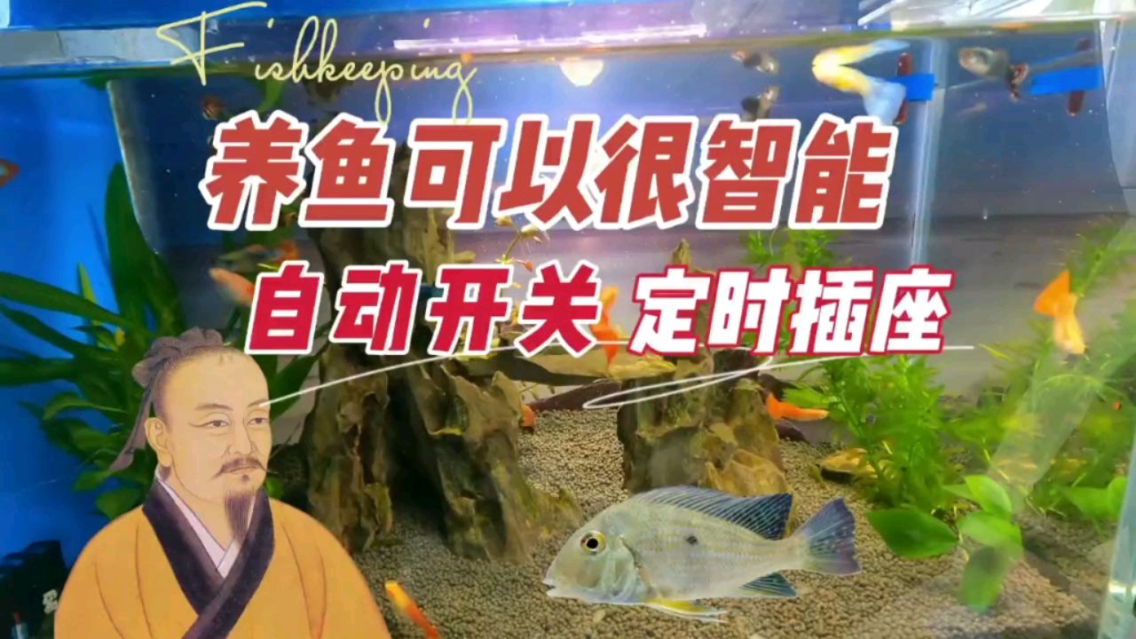 養(yǎng)魚(yú)很智能，自動(dòng)開(kāi)關(guān)魚(yú)缸燈靠定時(shí)插座 觀賞魚(yú)論壇