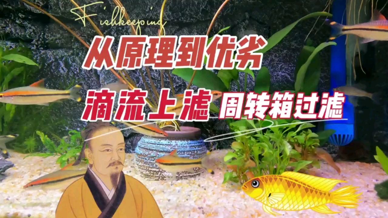 魚缸滴流上濾周轉箱過濾，原理到優(yōu)劣 觀賞魚論壇