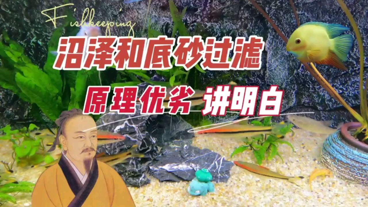 養(yǎng)魚的沼澤和底砂過(guò)濾，優(yōu)缺點(diǎn)原理 觀賞魚論壇