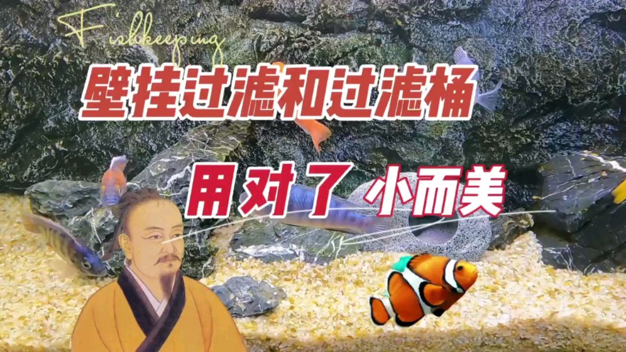 養(yǎng)魚用對了壁掛過濾和過濾桶，小而美 觀賞魚論壇