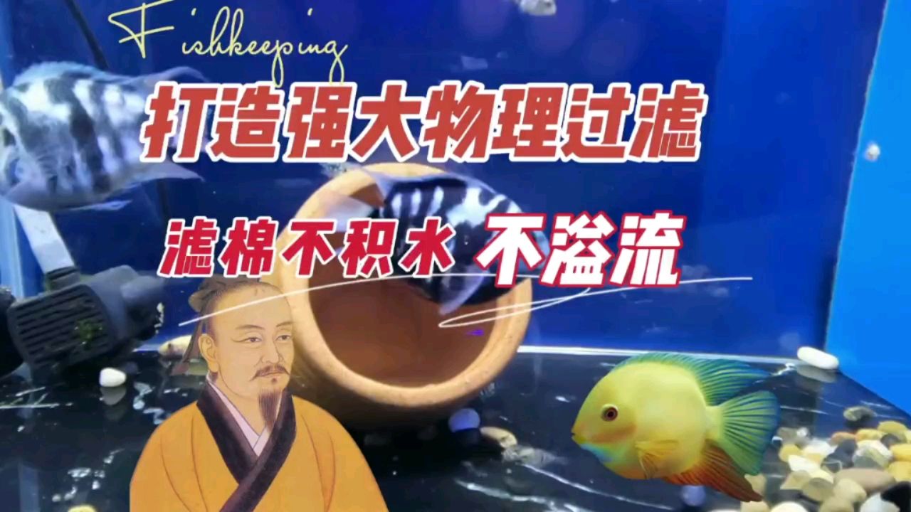 強(qiáng)大魚(yú)缸物理過(guò)濾，濾棉不積水、不溢流 觀賞魚(yú)論壇