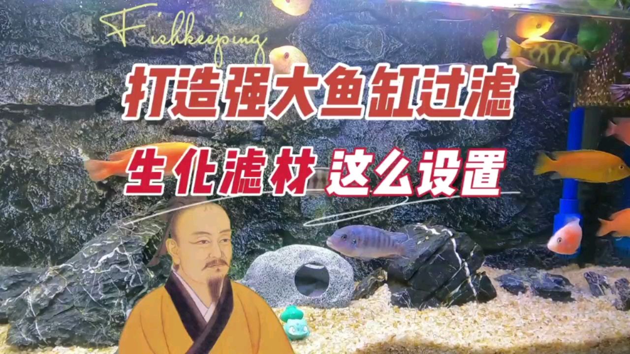 強大魚缸過濾，濾材和生化過濾這樣設(shè)置 觀賞魚論壇