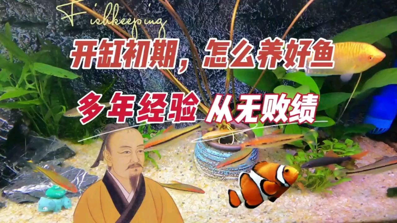 沙漠造景魚缸設(shè)計(jì)（ 沙漠 造景）