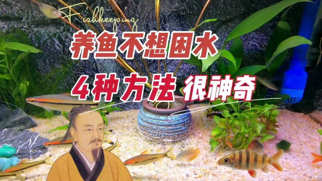 養(yǎng)魚不想困水，怎么換水，4種方法神奇 觀賞魚論壇