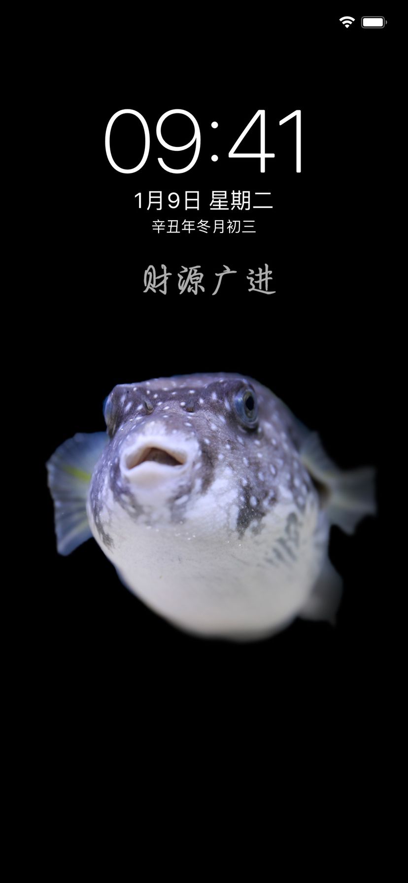 騰龍魚(yú)缸是牌子的嗎(騰龍魚(yú)缸是牌子的嗎怎么樣) 光特億