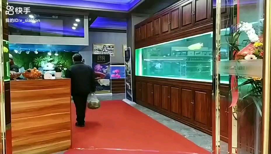 加入祥龍水族聯(lián)盟助力水族本地營銷 觀賞魚論壇