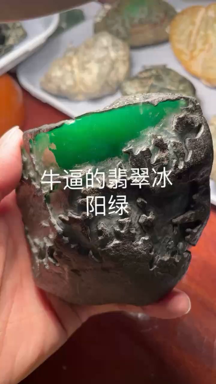 翡翠帝王綠的弟弟 觀賞魚論壇