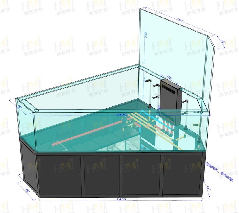 廣東 汕頭 現(xiàn)場制作 觀賞魚論壇 第7張