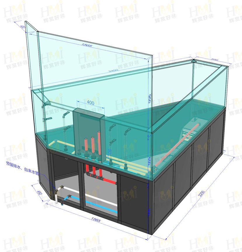 廣東 汕頭 現(xiàn)場制作 觀賞魚論壇 第8張