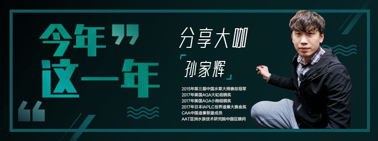 造景大咖孫家輝和你分享，2021這一年！ 觀賞魚論壇 第1張