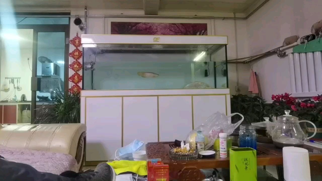 廣州市荔灣區(qū)偉亮水族店 全國(guó)水族館企業(yè)名錄