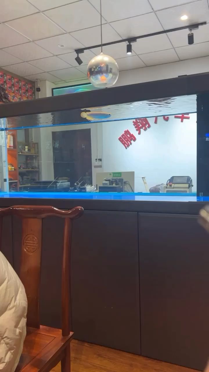 飯后遛魚 觀賞魚論壇